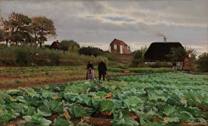 Crop Prints: Cabbage patch, 1870-1917. Creator: Hans Smidth