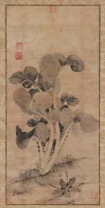 A Cabbage Plant, Late Yuan or early Ming dynasty, 14th-15th century. Creator: Unknown A Cabbage Plant, Late Yuan or early Ming dynasty, 14th-15th century. Creator: Unknown