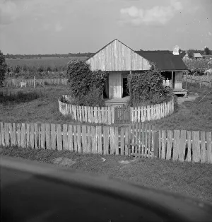 Louisiana United States Of America Prints: Cabin of sugarcane worker, Bayou La Fourche, Louisiana, 1937. Creator: Dorothea Lange