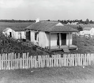 Cabin of sugarcane worker, Bayou La Fourche, Louisiana, 1937. Creator: Dorothea Lange