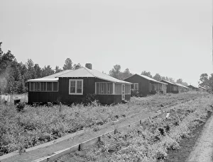 Mississippi United States Of America Prints: Cabins at the Delta cooperative farms