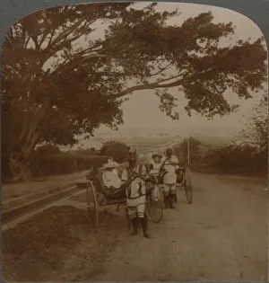 Kwazulu Natal Prints: Cabs drawn by natives on a residence road, Durban, S. Africa, c1900