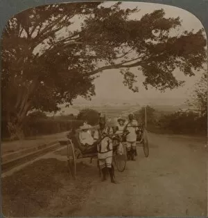 Cabbie Gallery: Cabs drawn by natives on a residence road, Durban, S. Africa, c1900
