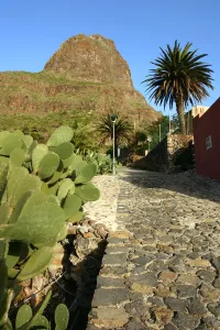 Tenerife Prints: Cactus and street in Masca, Tenerife, Canary Islands, 2007