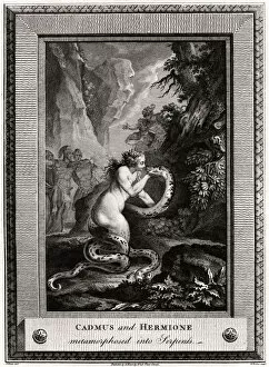 Serpent Collection: Cadmus and Hermione, metamorphosed into Serpents, 1776. Artist: W Walker