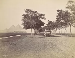 Bonfils Collection: Caire. Allee de Pyramides, ca. 1870. Creator: Felix Bonfils