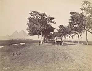 Bonfils Collection: Caire. Allee de Pyramides, ca. 1870. Creator: Felix Bonfils