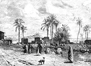 Nile Delta Prints: Cairo seen of left bank of the Nile, 1881