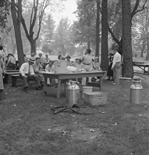 California Day, a picnic in town park on the Rogue River, Grants Pass, Oregon, 1939. Creator: Dorothea Lange