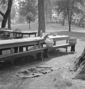California Day, a picnic in town park on the Rogue River, Grants Pass, Oregon, 1939. Creator: Dorothea Lange