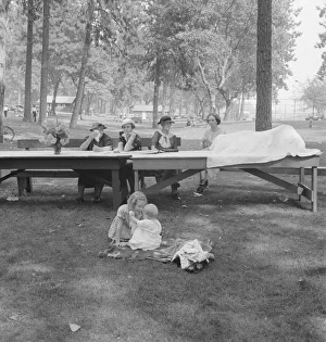 California Day, a picnic in town park on the Rogue River, Grants Pass, Oregon, 1939. Creator: Dorothea Lange