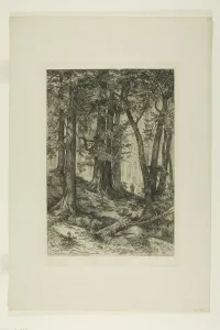 Moran Thomas Prints: A California Forest, 1888. Creators: Mary Nimmo, Thomas Moran