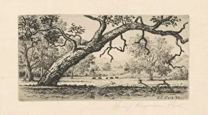California Landscape, 1888. Creator: Henry Chapman Ford