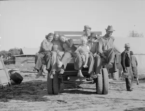 Flat Bed Truck Prints: California pea pickers returning to camp
