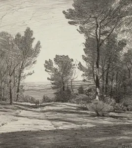 1919 Prints: California Pines, 1919. Creator: Bolton Coit Brown