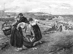 Millais John Everett Prints: Caller Herrin, after James Clarke Hook, R.A. c1880-83. Creator: Otto Theodor Leyde