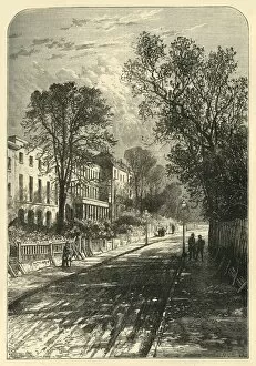 Camberwell Grove, (c1878). Creator: Unknown