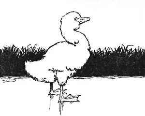 Duckling Prints: He Came to a Wide Moor, c1930. Artist: W Heath Robinson