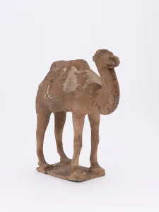 6th Century Prints: Camel, 385-535. Creator: Unknown