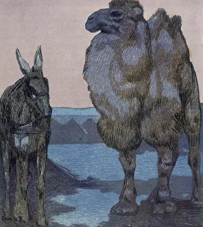 Joseph Rudyard Prints: Camel and ass; scene from 'The Jungle Book', 1919. Creator: Paul Jouve