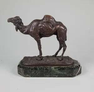 Behaviour Prints: Camel, mid 19th century. Creator: Antoine-Louis Barye
