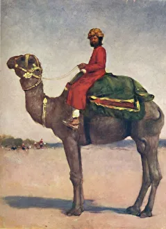 A Camel Rider from Kota, 1903. Artist: Mortimer L Menpes