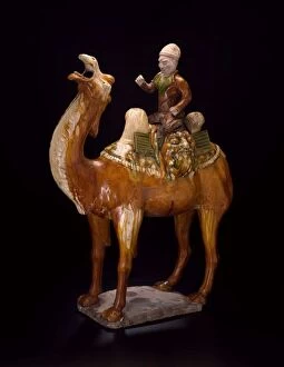 Camel, Tang dynasty (618-907 A.D.), first half of 8th century. Creator: Unknown