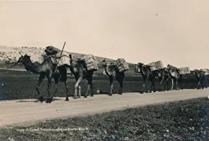 Camel Train Prints: A Camel Train bound for Damascus, 1936