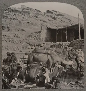 Realistic Travels Prints: Camel train from Jerash, watering at the Fountain of Elisha, c1900