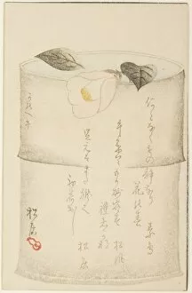Bamboo Gallery: Camellia, 1870. Creator: Shokyo