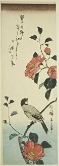 Pyrrhua Europaea Collection: Camellia flowers and bullfinch, c. 1843/47. Creator: Ando Hiroshige