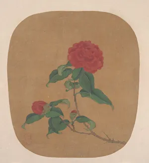 Camellia Prints: Camellia Flowers. Creator: Unknown