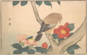 Camellia Prints: Camellias with a Bird, 1789. Creator: Kitao Masayoshi