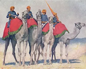 Durbar Prints: Camelry from Alwar, 1903. Artist: Mortimer L Menpes
