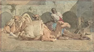 Moroccan Gallery: Camels Reposing, Tangiers, ca. 1854-74. Creator: Mariano Jose Maria Bernardo Fortuny y