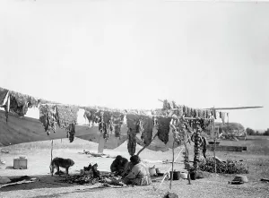 Subsistence Prints: In camp, 1908, c1908. Creator: Edward Sheriff Curtis