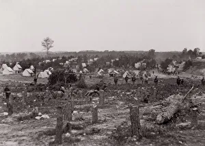 Tree Stumps Prints: Camp of 30th Pennsylvania Infantry, 1861-65. Creator: Unknown
