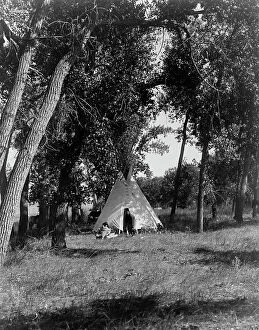 American Indian Collection: Camp in the cottonwoods-Cheyenne, c1910. Creator: Edward Sheriff Curtis