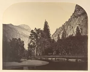 Carleton Emmons Collection: Camp Grove, Near Sentinel, 1861, Yosemite. Creator: Carleton Emmons Watkins