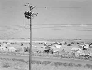 Migration Collection: Camp of migrant potato pickers seen from potato shed... Tulelake, Siskiyou County, California