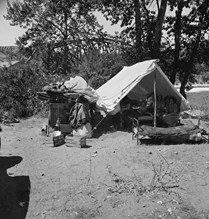 Camp of migratory family originally from Texas in Ramblers Park, Yakima Valley, Washington, 1939. Creator: Dorothea Lange