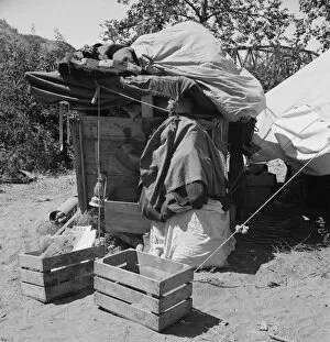 Camp of migratory family from Texas, Washington, Yakima Valley, 1939. Creator: Dorothea Lange