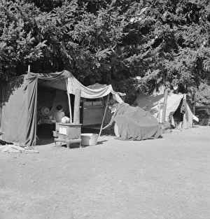 Cooking Gallery: Camp representative of fourteen in group, near West Stayton, Marion County, Oregon, 1939