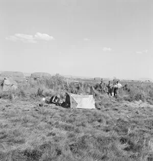 Tent City Collection: Camp of single men, Tulelake, Siskiyou County, California, 1939. Creator: Dorothea Lange