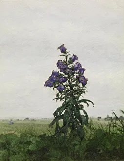 Campanula Prints: Campanula in front of a Landscape, 1863. Creator: Leon Bonvin