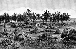 Henry Stanley Prints: The last camping ground on the African mainland, 1890. Creator: Paterson