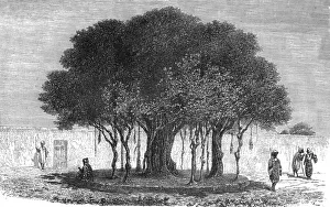 West Africa Prints: Our Camping-ground at Morebougou; Journey from the Senegal to the Niger