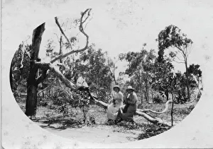 Lestrange Robert Augustus Henry Prints: Camping at Woody Point, Redcliffe Peninsula