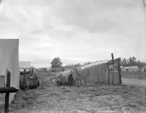 Displacement Prints: Camps of migrant pea workers, California, 1936. Creator: Dorothea Lange