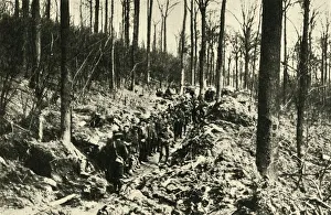 Canadian Infantry in a Wood at the Front, First World War, 1915-1916, (c1920). Creator: Unknown